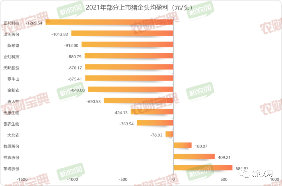 中国养猪网
