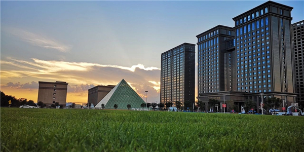 2021养猪暴富梦破灭！2022猪企继续增加出栏量，猪周期拐点遥遥无期？