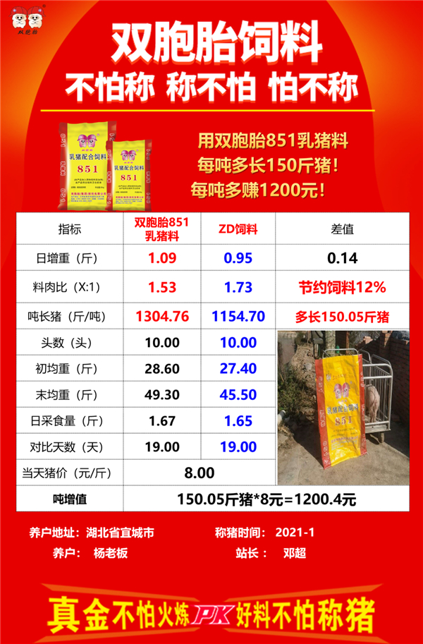 中国养猪网