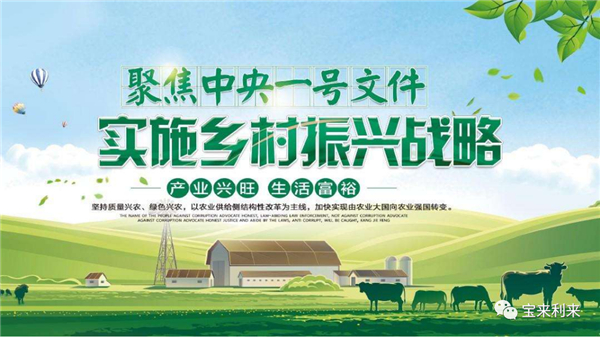 中国养猪网