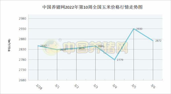 中国养猪网