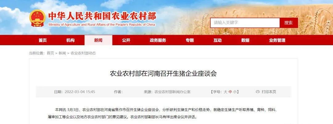 中国养猪网