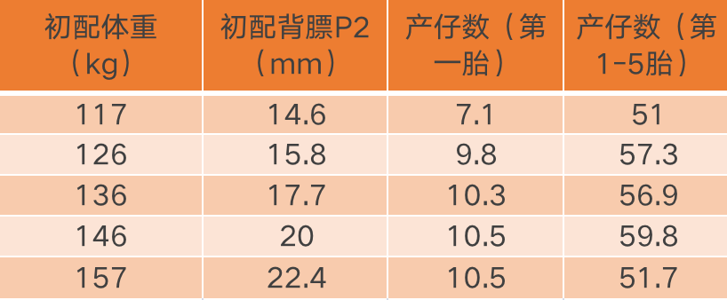 中国养猪网