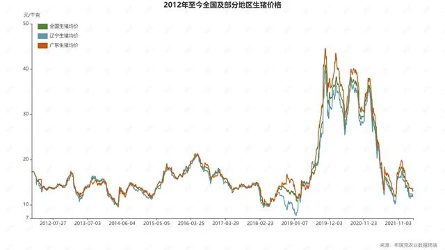 中国养猪网