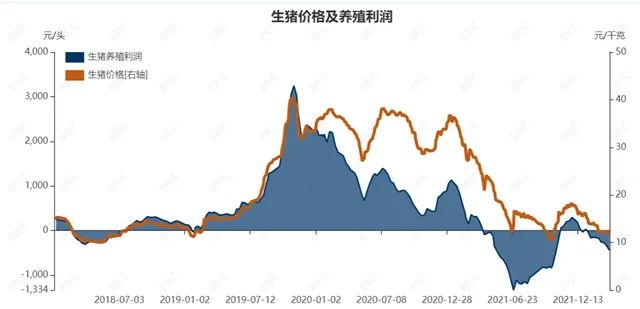 中国养猪网