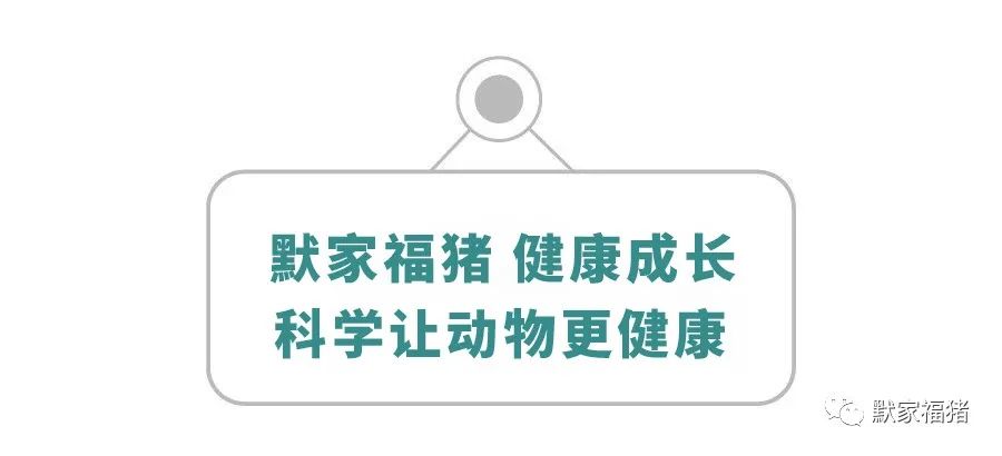 默家路演即将上线！