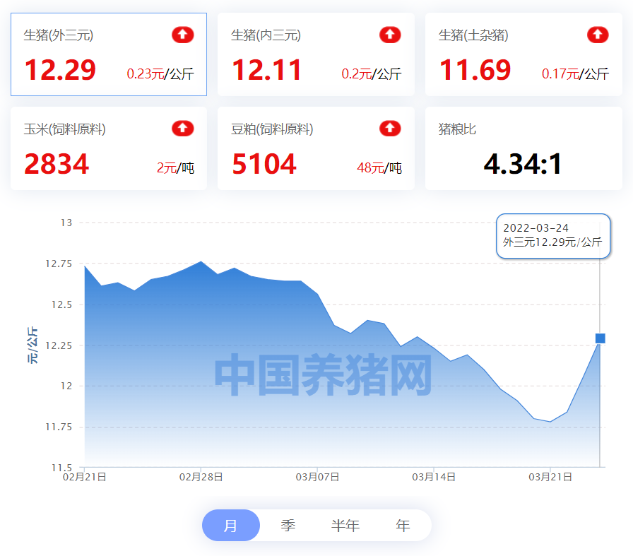 中国养猪网