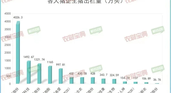 中国养猪网