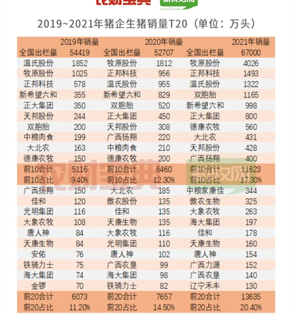 中国养猪网