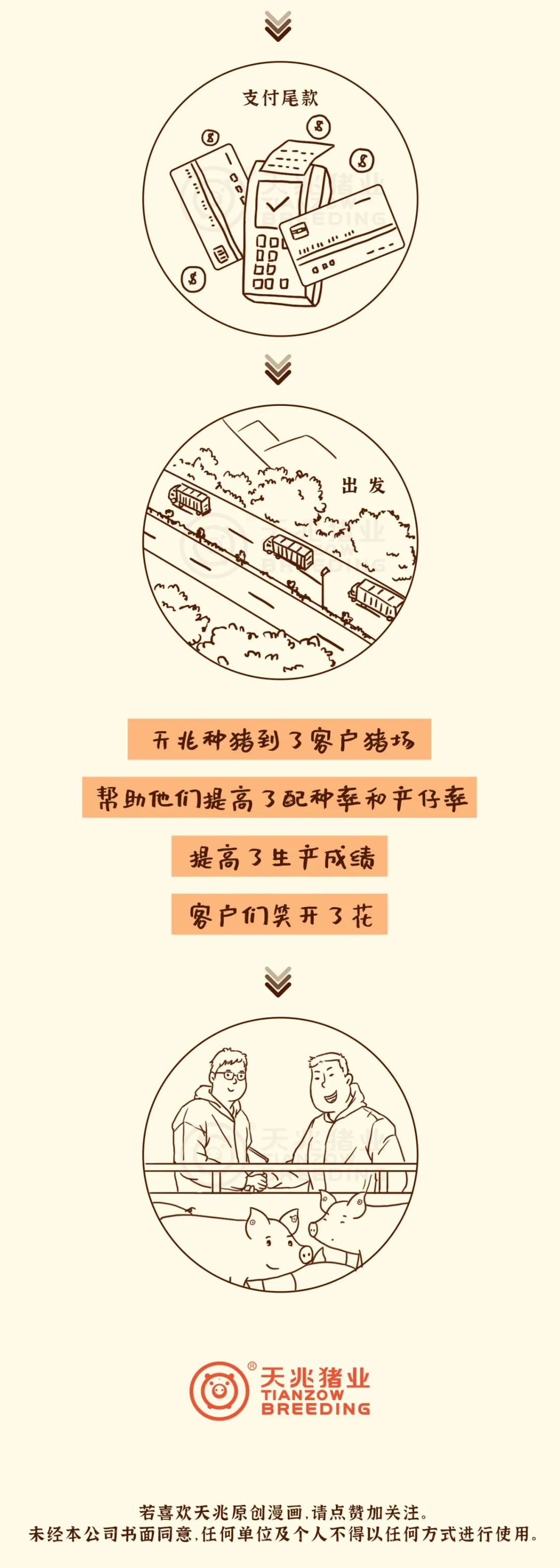 中国养猪网