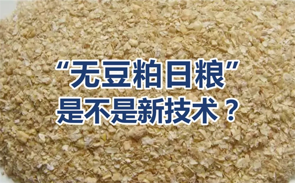 中国养猪网
