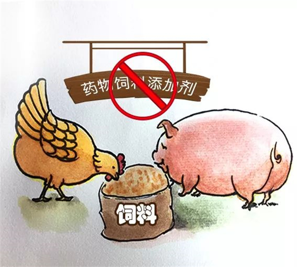 这几种兽药如使用不当，将会诱发基因变异和致癌危险