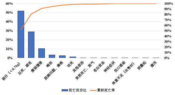 中国养猪网