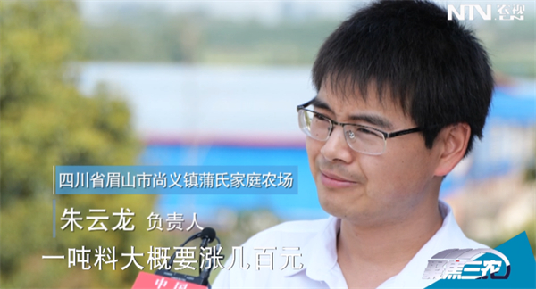 中国养猪网