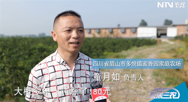 中国养猪网
