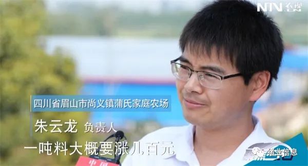 中国养猪网
