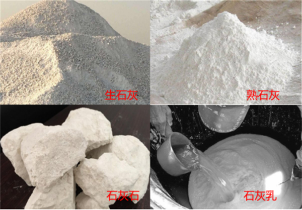  生石灰/熟石灰/消石灰/石灰乳有什么区别？猪场如何正确使用石灰消毒？