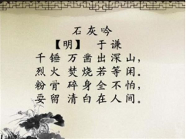 中国养猪网