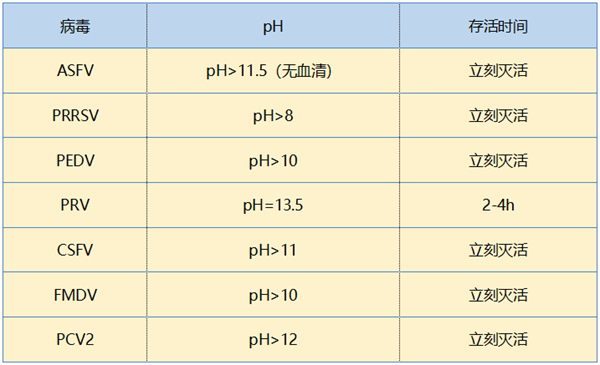 中国养猪网