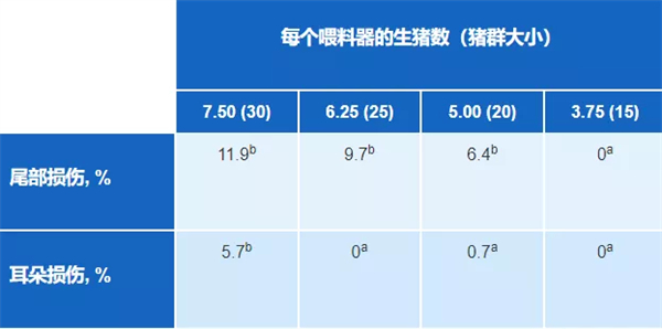 中国养猪网