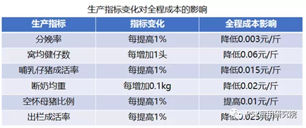 中国养猪网