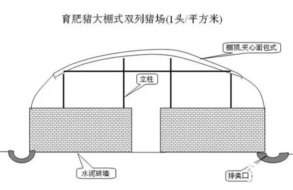 中国养猪网