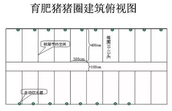 中国养猪网