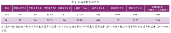 中国养猪网