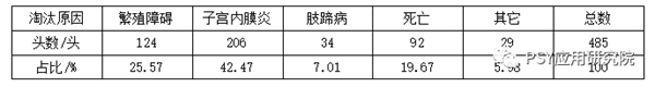 中国养猪网