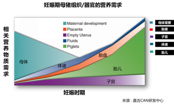 中国养猪网