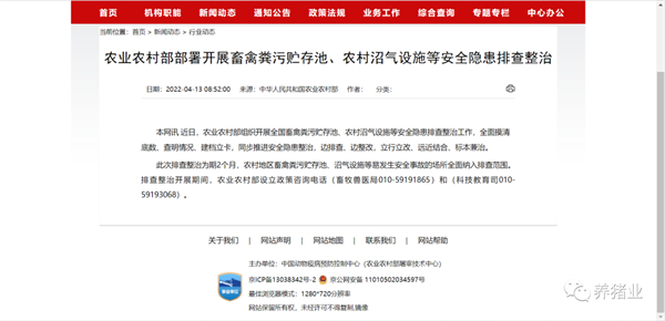 中国养猪网