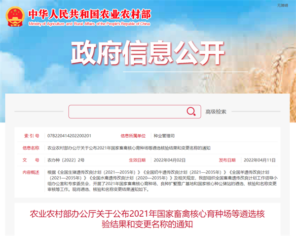 中国养猪网