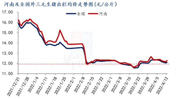 中国养猪网
