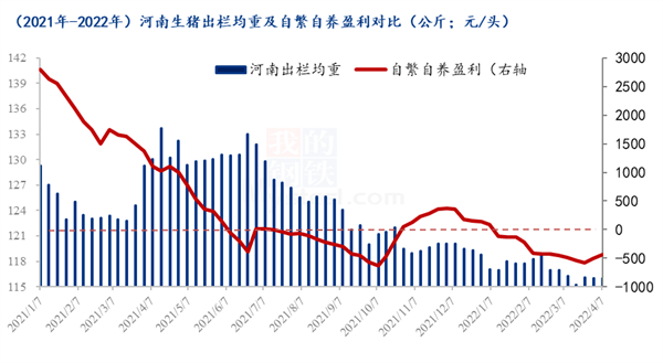 中国养猪网