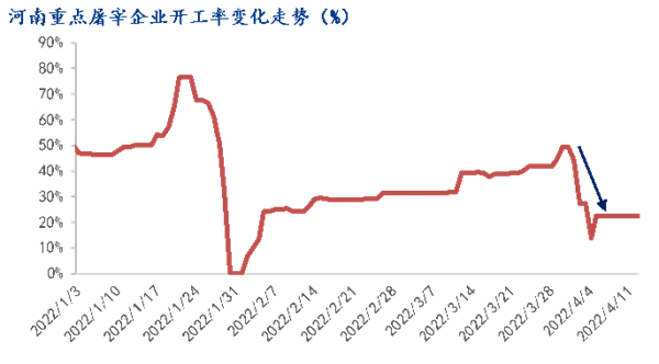 中国养猪网