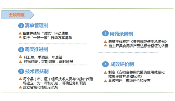 中国养猪网