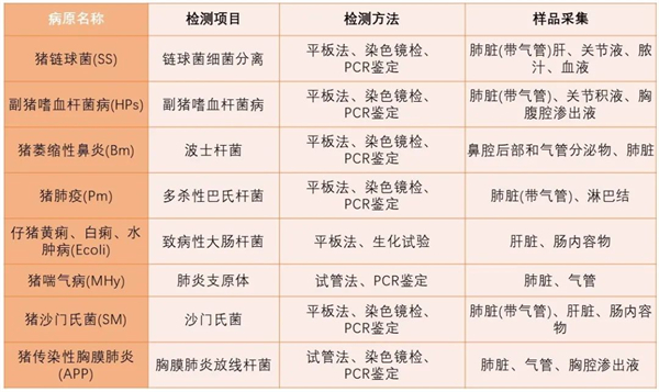 中国养猪网