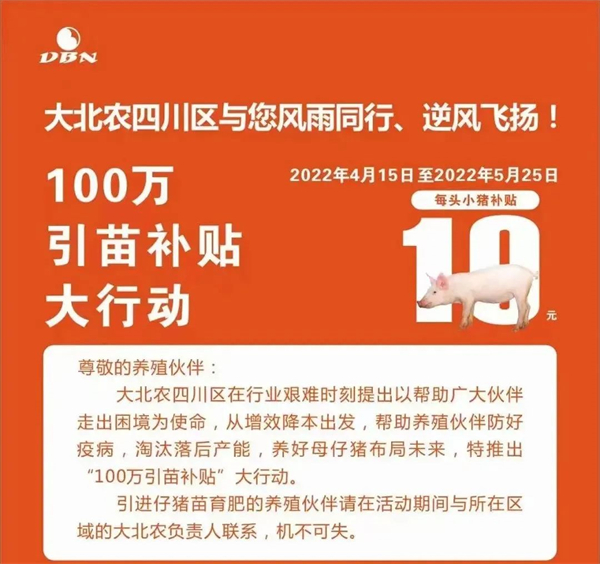 中国养猪网