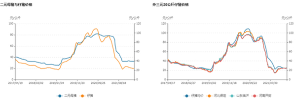 中国养猪网