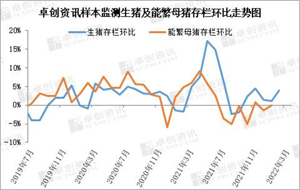 中国养猪网