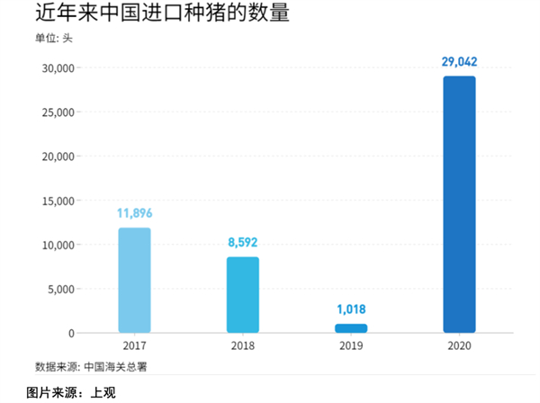 中国养猪网