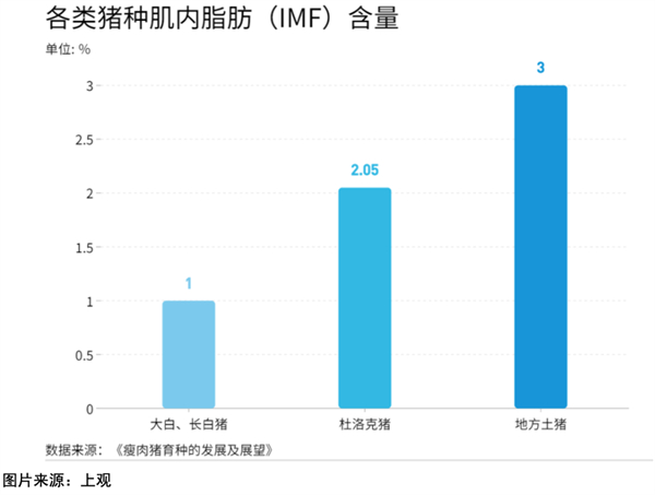 中国养猪网