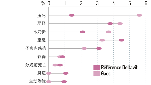 中国养猪网