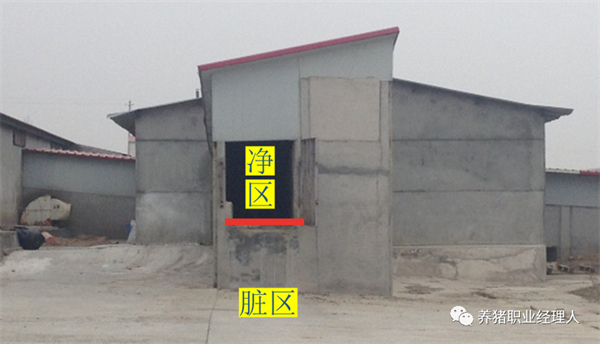 中国养猪网