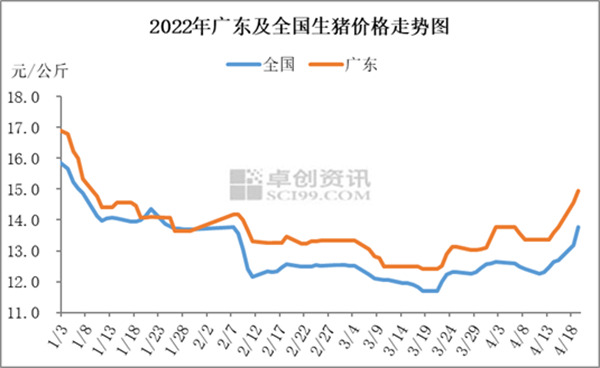 中国养猪网