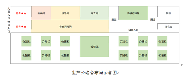 中国养猪网