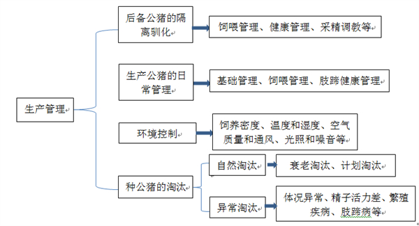 中国养猪网