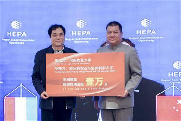 10分钟肉眼看结果！河南科研团队向匈牙利捐赠1万支非洲猪瘟检测试纸