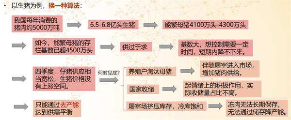 中国养猪网