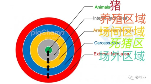 中国养猪网